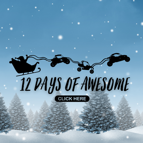 12 DAYS OF AWESOME