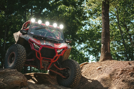 RED KRX