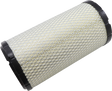 ALL BALLS Replacement Air Filter - Can-Am 48-1012