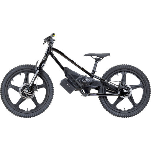 Agroid RS-20 Balance E-Bike – Perfect Entry-Level Electric Bike