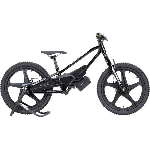 Agroid RS-20 Balance E-Bike – Perfect Entry-Level Electric Bike