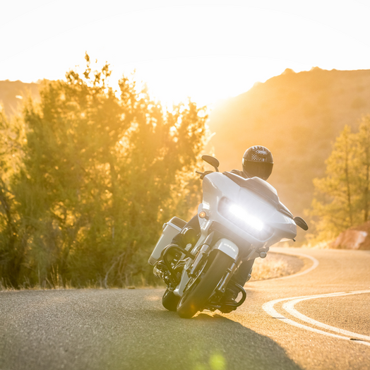 RF-1400 Dedicated 2 LARGE